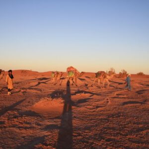 Great Sahara Camel Trek